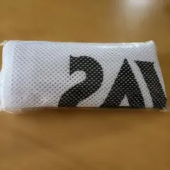 SAVAS メッシュバッグ ザバス　白色