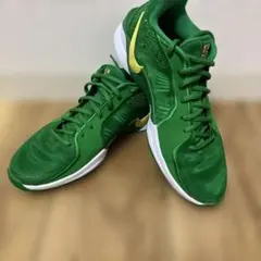 Item thumbnail for item 2ea5792c-4724-4908-8a49-27133e0f88ce