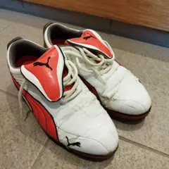 Item thumbnail for item 72dad9f5-d92a-45c8-a5be-8fde56fef59e