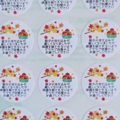 リス＆どんぐり⭐秋限定メッセージシール♥1シート48枚