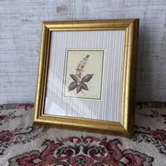 Item thumbnail for item a8d43ee6-8584-4ad3-b85a-d76ffd870b4f