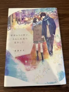 雪明かりの街で、きみに永遠の恋をした。 永良サチ