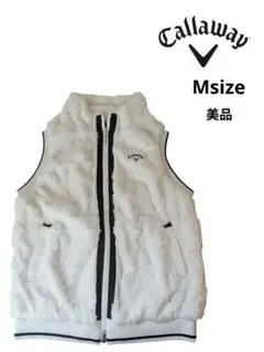 Item thumbnail for item b5a3fe85-cb87-48c6-955c-61399500c68c