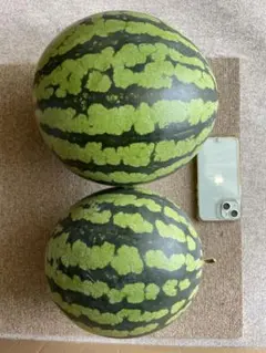 スイカ(無農薬) 2個箱入り