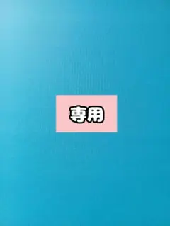 専用出品