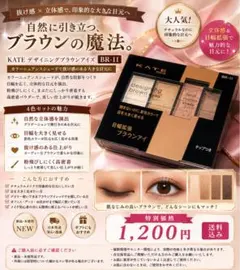 KATE デザイニングブラウンアイズ BR-11 新品・送料込み 1,200円のサムネイル