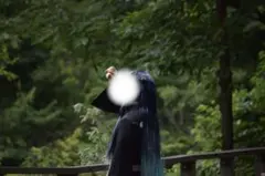 Item thumbnail for item 7fc96c95-224d-4cfc-9139-a420d16dfe8e