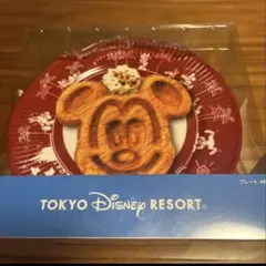 【メルカリ市値下】東京ディズニーリゾート メラミンプレート 4枚セットのサムネイル
