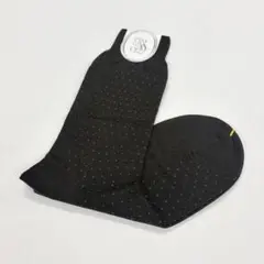 Item thumbnail for item eb5dfaae-5ebe-40d3-a66e-cb8dfa295c2e