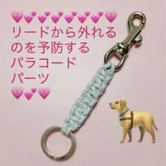 リードから外れるのを予防するパラコードパーツ 発光♪ブルー - メルカリ
