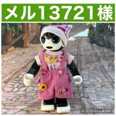 メル13721様専用ページです　　ロボホン