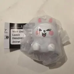 SKZOO ライトマスコット ガチャ リービット　leebit