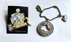 ディズニー 15周年 チャーム ピンズ