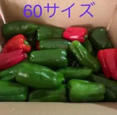 ピーマン60サイズのサムネイル