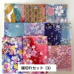 雷愛様 リクエスト 2点 まとめ商品