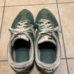 NIKE スニーカー パシフィック　グリーン