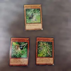 C42 遊戯王 ＰＳＹフレームギア・δ、γ、ドライバー【デルタ　ガンマ】