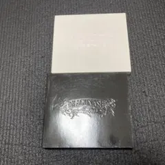 ドラゴンアッシュ　CD2枚セット