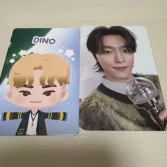 CARATZONE ディノ　トレカ
