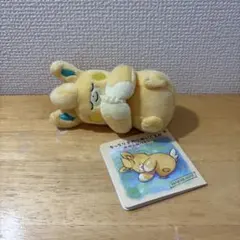 おねんねパモット ポケモン