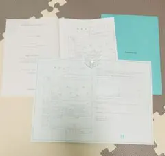 Item thumbnail for item 6d365052-533f-49f3-bca2-d51698b7ea1e