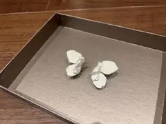 ホワイト 蝶の形状 ピアス