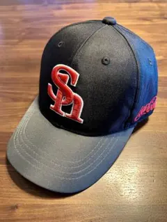 Item thumbnail for item 5a9e6adf-1ca1-4310-860a-3c4d64cbaeef