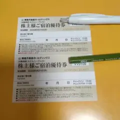 【最新版】東急ホテル　ハーベスト　宿泊優待 2026年8月末 2枚
