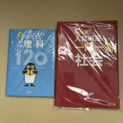 Item thumbnail for item 805a1019-2c66-4d73-823b-c26cddc458f8