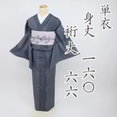 2025年最新】塩沢お召の人気アイテム - メルカリ