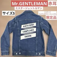 mr gentleman