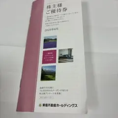 東急不動産ホールディングス 宿泊/スポーツ優待券 2026年1月末まで 100株