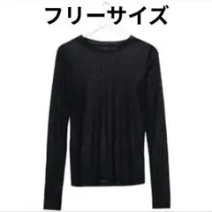 シアーシャツ　ブラック　長袖　フリーサイズ　透け感　レイヤード　インナー　一年中