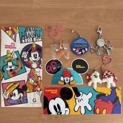 ディズニーランド　ステッカー&キーホルダー