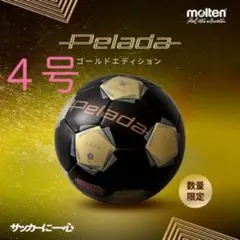molten ペレーダ4900 4号 ゴールドエディション