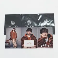 NAOTO JSB LAND フォトカード シークレット 3枚セット