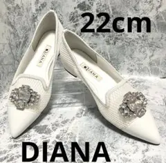 【美品】DIANA ホワイト ポインテッドトゥビジューメッシュパンプス22cm