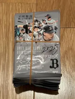 Item thumbnail for item c2628c5b-cfb7-4e46-9e26-813e852f384e