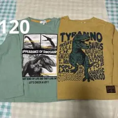 恐竜ロンT 2枚セット