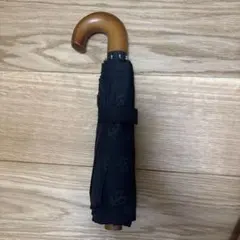 Item thumbnail for item 98ba8687-9ec7-4a86-9def-e364c4fdf6b5