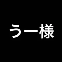 うー様 リクエスト 2点 まとめ商品