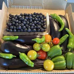 コンパクトBOX 野菜ブルーベリー200g詰め合わせ　bのサムネイル