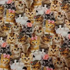USA Timeless Treasures 猫柄プリント生地 1m