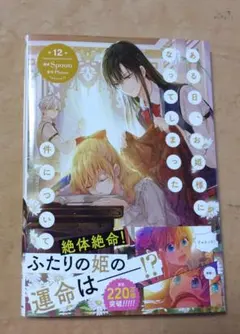 ある日、お姫様になってしまった件について 12