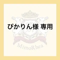 ぴかりん様 専用