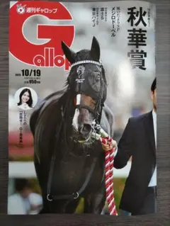 週刊ギャロップ 雑誌　2025年10月19日号　応募券とかはついています