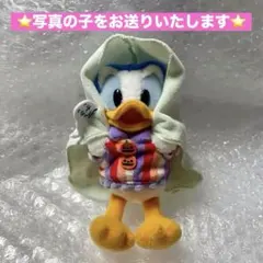 東京ディズニーリゾート ヒューイ・デューイ・ルーイ ぬいぐるみバッジ