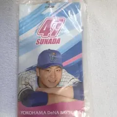 プロ野球横浜DeNAベイスターズ2019砂田選手チケットホルダーのサムネイル