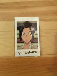 Item thumbnail for item 2d68c4e8-7d4a-497f-bc48-ab73079b9d4a