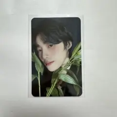 THEBOYZ ニュー Nectar ヨントントレカ MINIRECORD